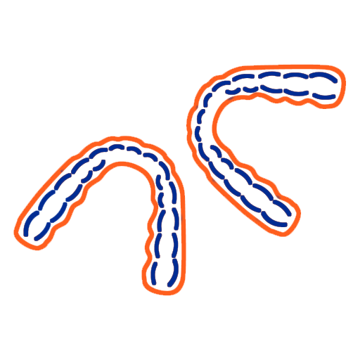 Stylized blue and orange curved lines representing bacterial or spirochete microorganisms.