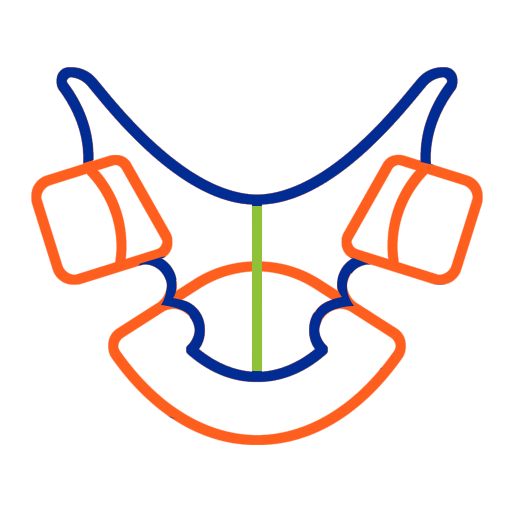 Colorful illustration of a smiling mouth with blue upper arch and orange lower teeth structure in pediatric dental design.